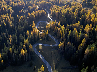 Flying High: Amazing Aerials